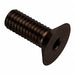 Flat 100 Head Socket Screw