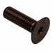 Flat 100 Head Socket Screw