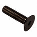 Flat 100 Head Socket Screw