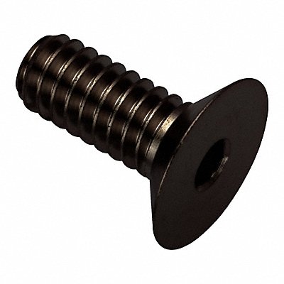 Flat 100 Head Socket Screw