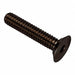 Flat 100 Head Socket Screw