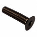 Flat 100 Deg Head Socket Screw