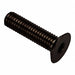 Flat 100 Degree Head Socket Screw