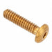 Button Head Socket Screw