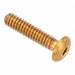 Button Head Socket Screw