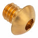 Button Head Socket Screw