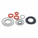 Backflow Preventer Service and Repair Kits
