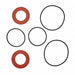 Backflow Preventer Service and Repair Kits