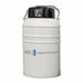 Cryogenic Dewars