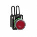 Electrical Control Pilot Lights