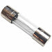 Fuse 250V 1A