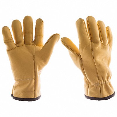 Leather Gloves Tan XL PR