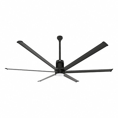 Ceiling Fans