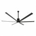 Ceiling Fans