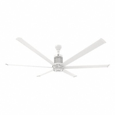 Ceiling Fans