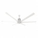 Ceiling Fans