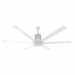 Ceiling Fans