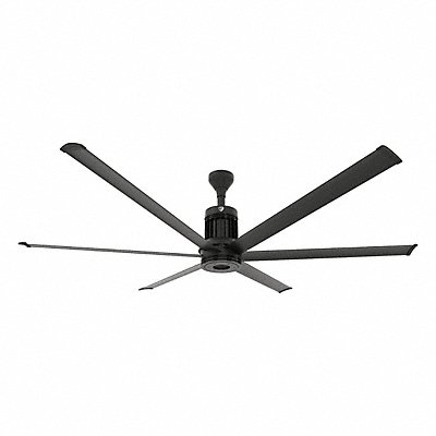 Ceiling Fans
