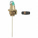 Temperature and Pressure Relief Valve