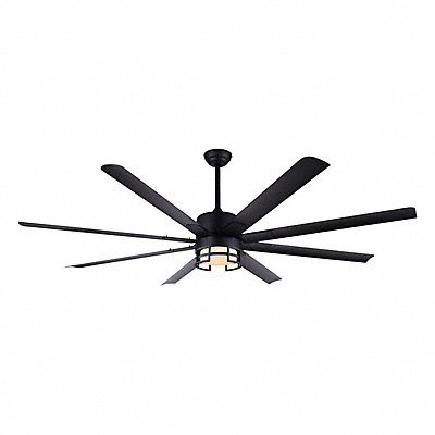 Ceiling Fans