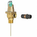 Temperature and Pressure Relief Valve