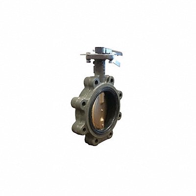 Butterfly Valve Lug 2 1/2 In EPDM Liner