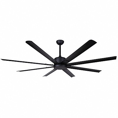 Ceiling Fans