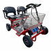 Electric Scooters