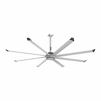 Ceiling Fans