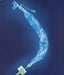 Closed Suction Catheter