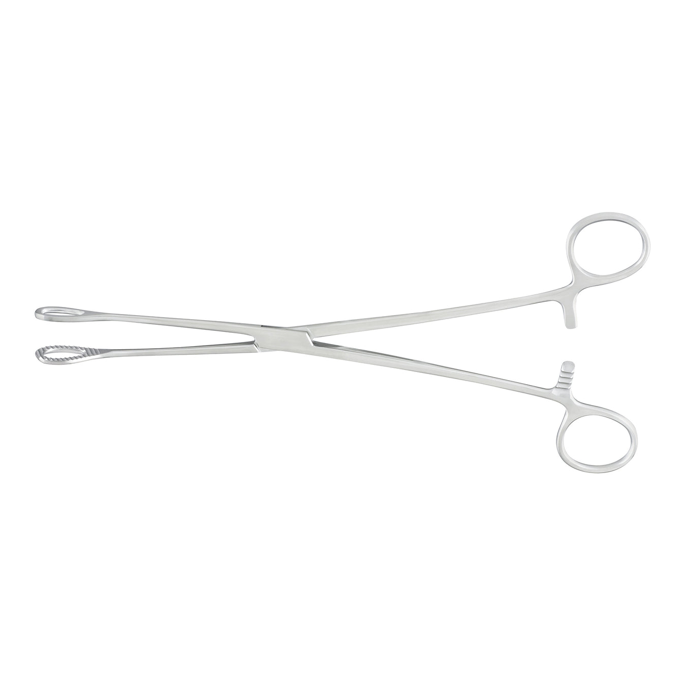 Sponge Forceps