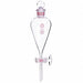 Funnel 220 mm H 60 mL