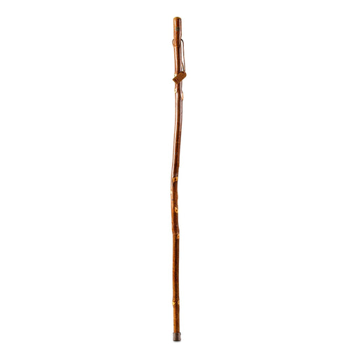 Walking Stick