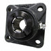 Flange Mount Bearings