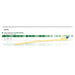 Foley Catheter