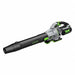 Cordless Leaf Blowers and Vacuums