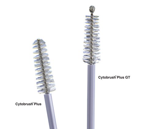 Cytology Brush