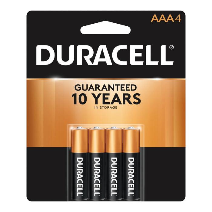 Alkaline Battery