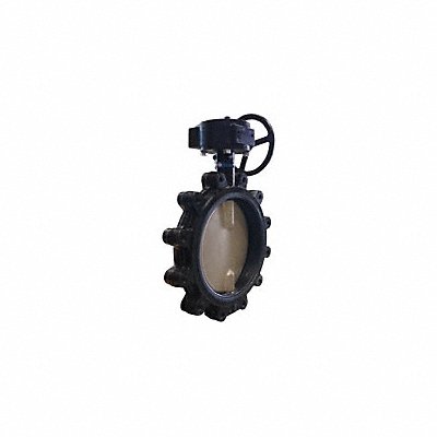 Butterfly Valve Lug 10 in Ductile Iron