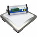 General Purpose Utility Bench Scale LCD
