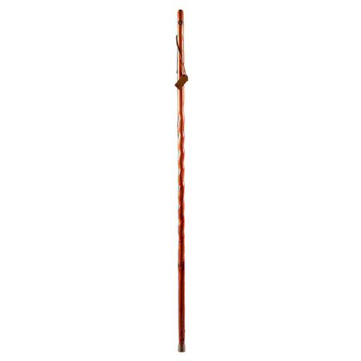 Walking Stick