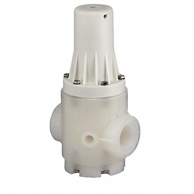 Pressure Regulator 2 In 10 to 125 psi