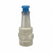 Pressure Regulator 1/2 In 5 to 125 psi