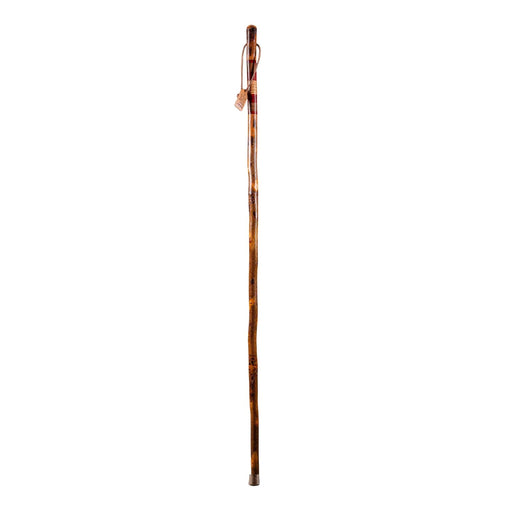 Walking Stick