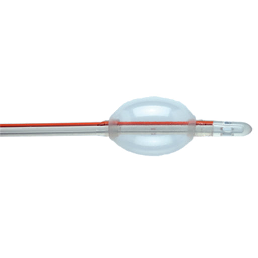 Foley Catheter