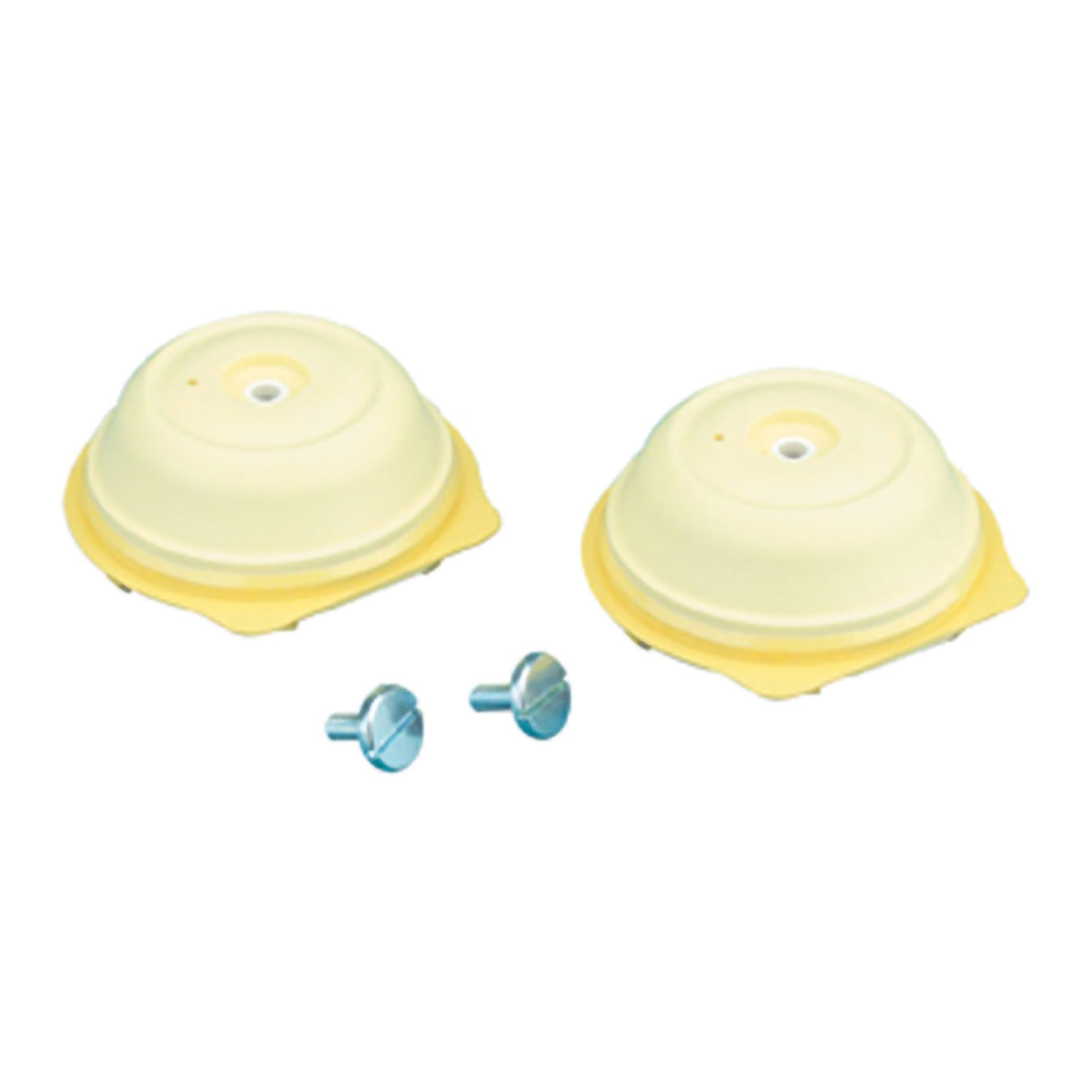 Diaphragm Kit