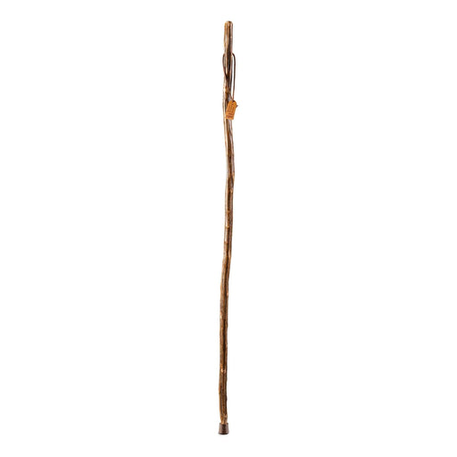 Walking Stick