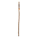 Walking Stick