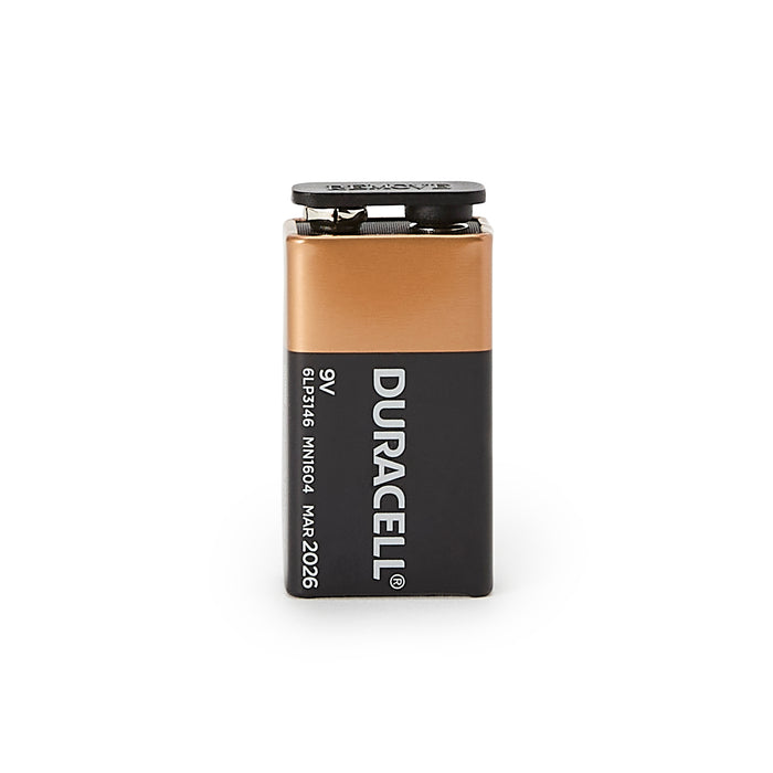 Alkaline Battery