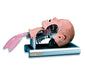 Airway Management Trainer